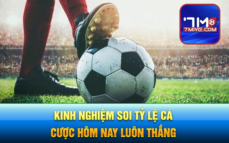 Kinh nghiệm soi tỷ lệ cá cược hôm nay luôn thắng