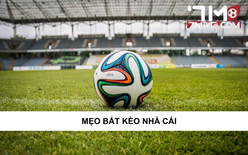 Mẹo bắt kèo chất như nước cất