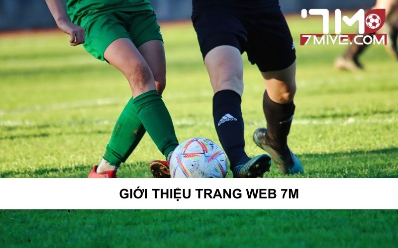 Giới thiệu chuyên trang tỷ số bóng đá 7m