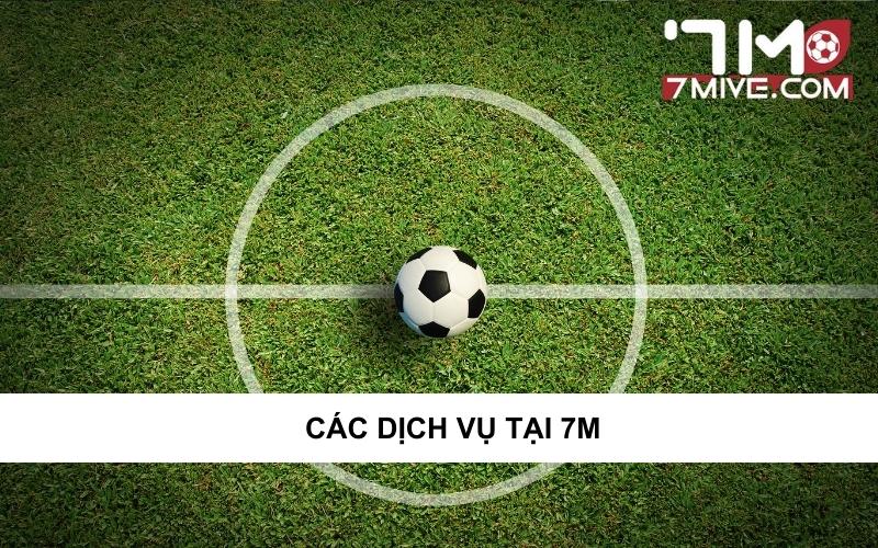 Tổng hợp các dịch vụ tại 7m