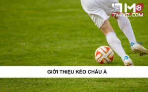 Giới thiệu về kèo châu Á