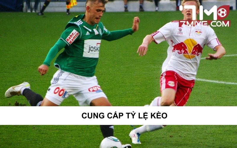 Bongdaso cung cấp tỷ lệ kèo