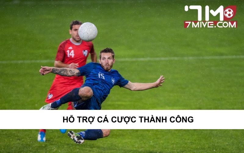 Bongdaso hỗ trợ cá cược thành công